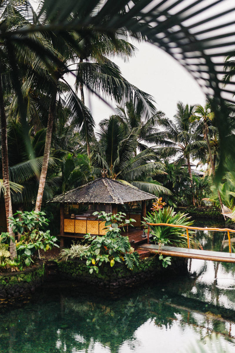 Women’s Hockey Fans and Players Deserve Better from the NWHL