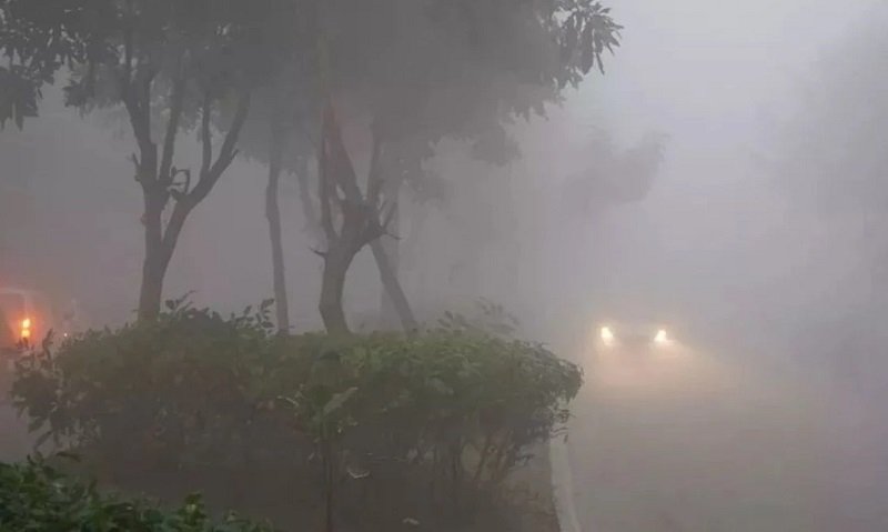 Bhopal : शीतलहर की चपेट में मध्य प्रदेश, अमरकंटक और पचमढ़ी में एक डिग्री पहुंचा न्यूनतम तापमान