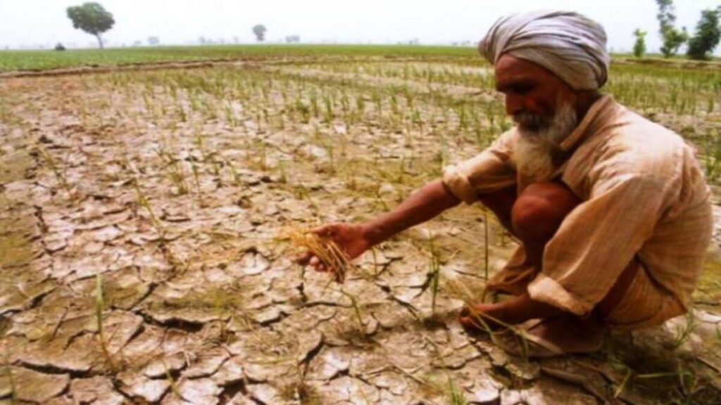 महाराष्ट्र में मानसून की रफ्तार धीमी : राज्य में सामान्य का सिर्फ 20% वर्षा दर्ज